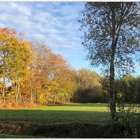 Getelodge - Private Family Country - Child And Pet Friendly *